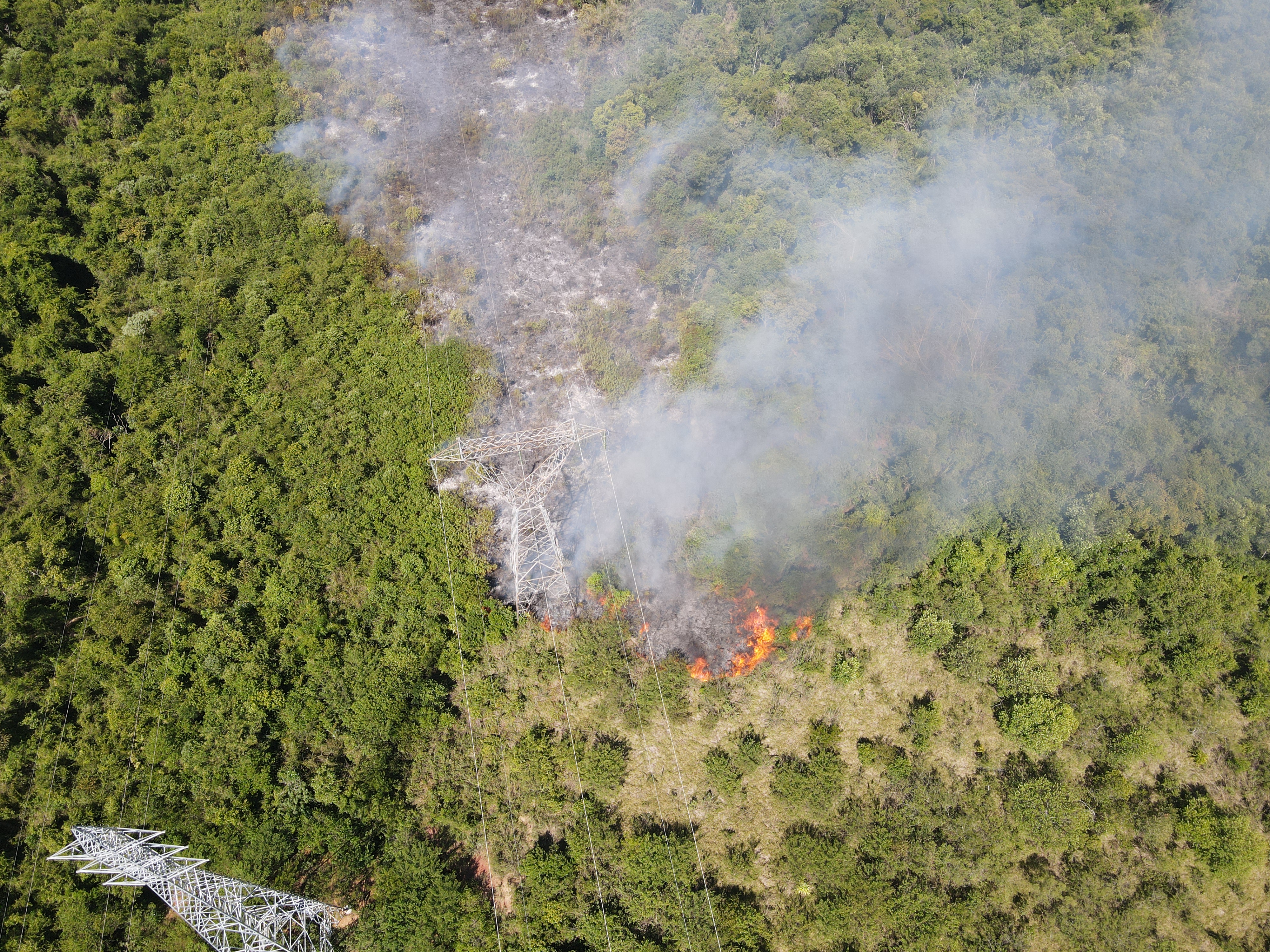Detalhe de torre de transmissão de energia atingida pelo incêndio florestal em São Miguel do Iguaçu. Foto: Davi Mariano Veloso/Veritas